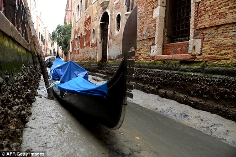 Los legendarios canales de Venecia se están secando debido a un clima anormal