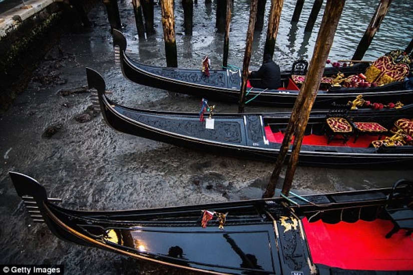 Los legendarios canales de Venecia se están secando debido a un clima anormal