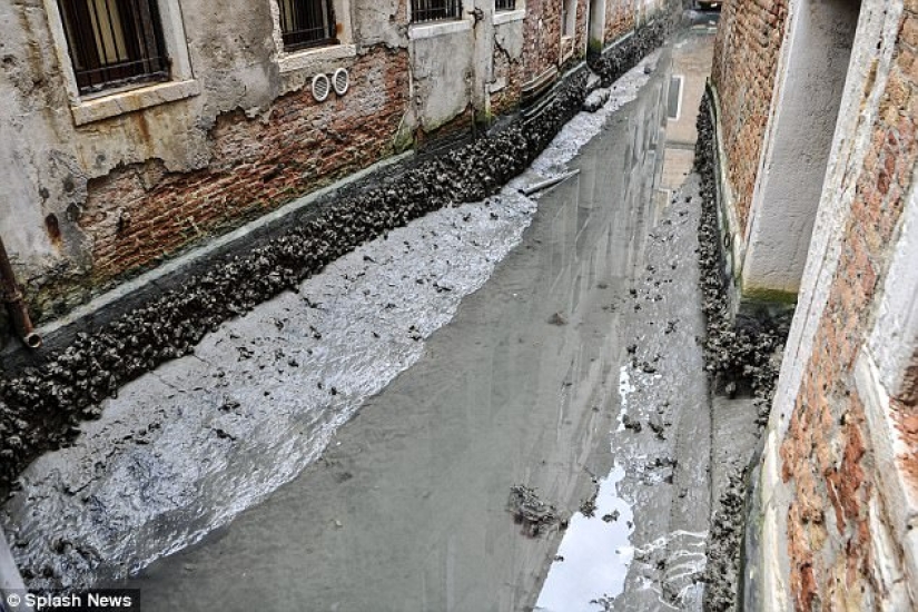 Los legendarios canales de Venecia se están secando debido a un clima anormal