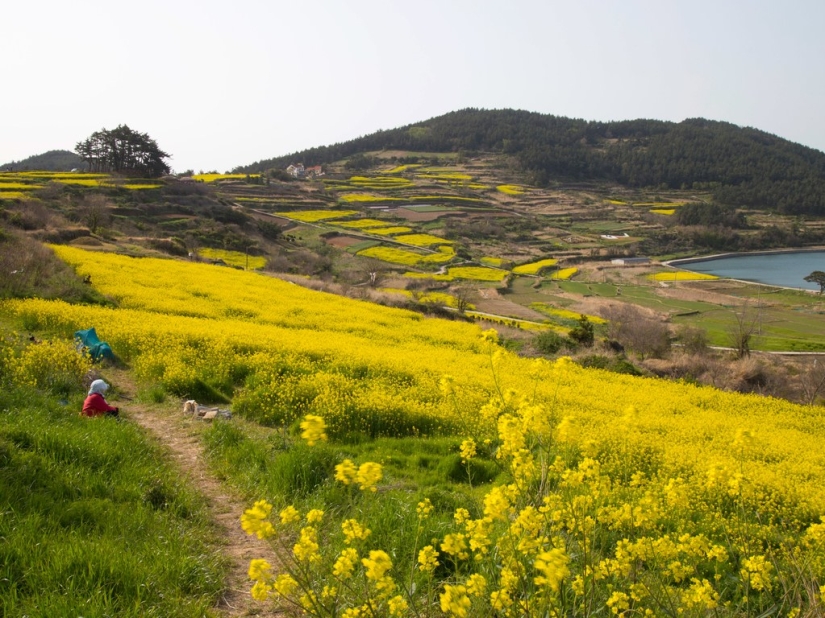 Los lugares más bellos de Corea del Sur