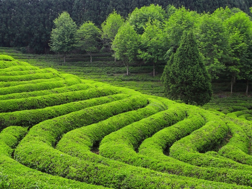 Los lugares más bellos de Corea del Sur