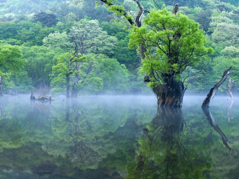 Los lugares más bellos de Corea del Sur