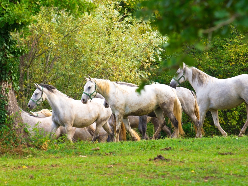 Los lugares más bonitos de Eslovenia