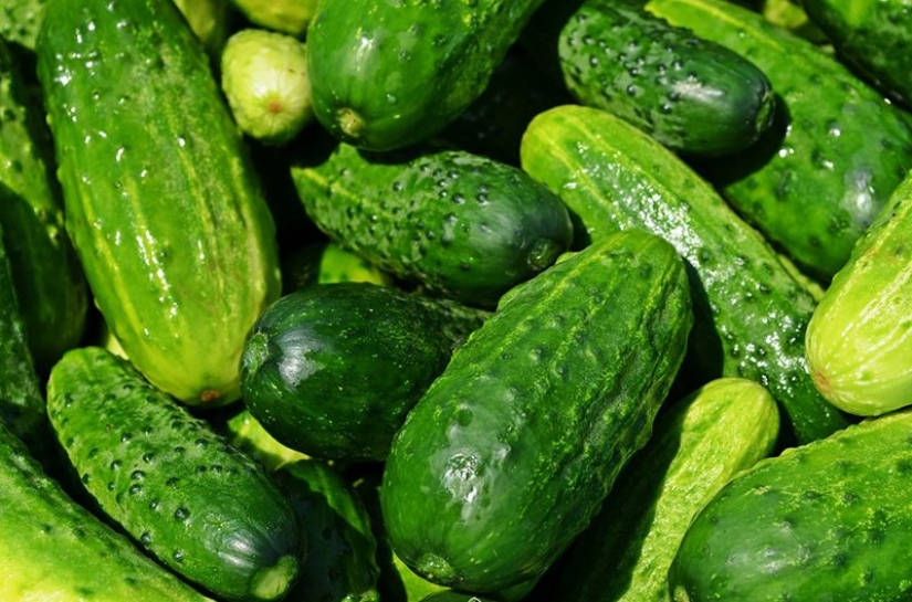Los mejores productos que estimulan la pérdida de peso.