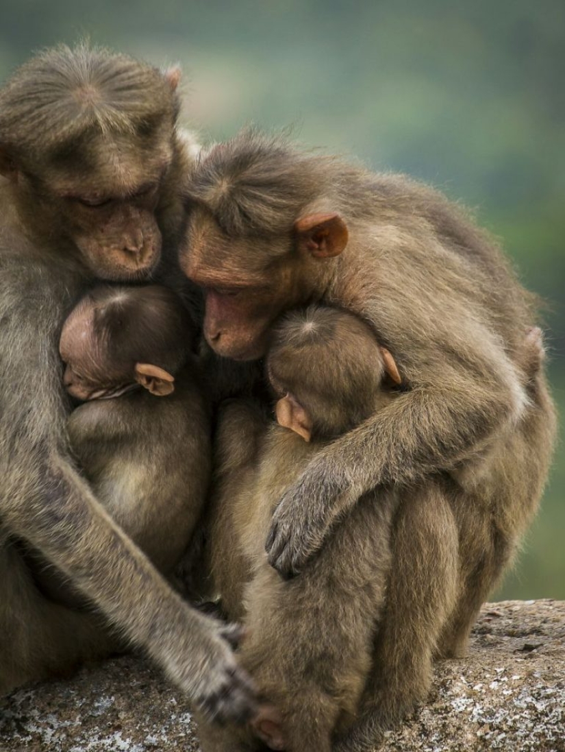 Los mejores trabajos de la final del concurso de fotografía Love 2019