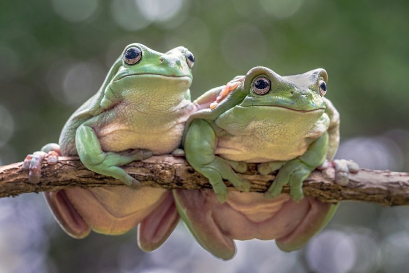 Los mejores trabajos de la final del concurso de fotografía Love 2019
