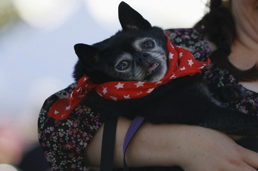 Los monstruos más adorables
