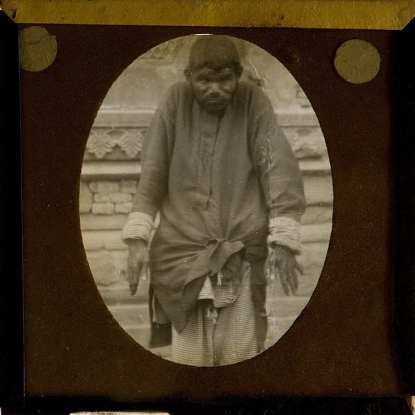 Los niños más famosos son Mowgli: cómo fueron los destinos de los niños que crecieron entre animales Los niños más famosos son Mowgli: cómo fueron los destinos de los niños que crecieron entre animales