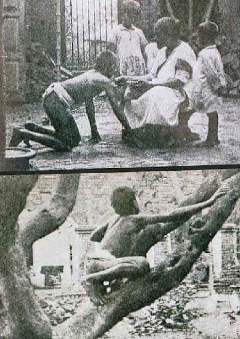 Los niños más famosos son Mowgli: cómo fueron los destinos de los niños que crecieron entre animales Los niños más famosos son Mowgli: cómo fueron los destinos de los niños que crecieron entre animales