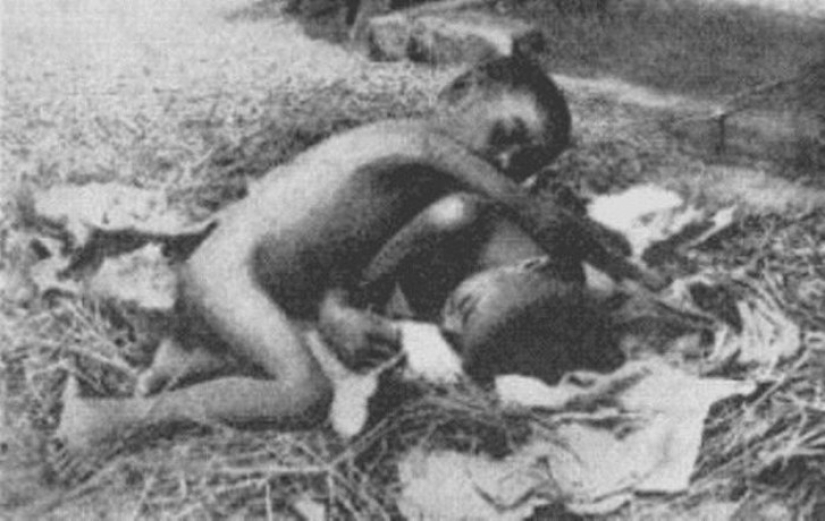 Los niños más famosos son Mowgli: cómo fueron los destinos de los niños que crecieron entre animales Los niños más famosos son Mowgli: cómo fueron los destinos de los niños que crecieron entre animales