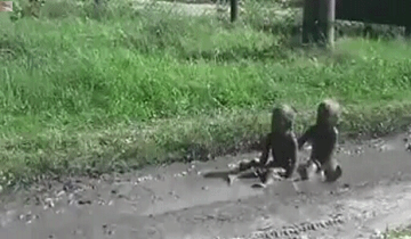 Los niños son tan niños: GIFs que definitivamente te harán sonreír