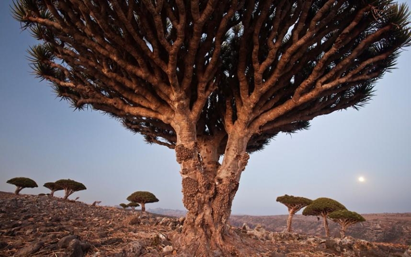 Los paisajes más surrealistas de nuestro planeta Los paisajes más surrealistas de nuestro planeta