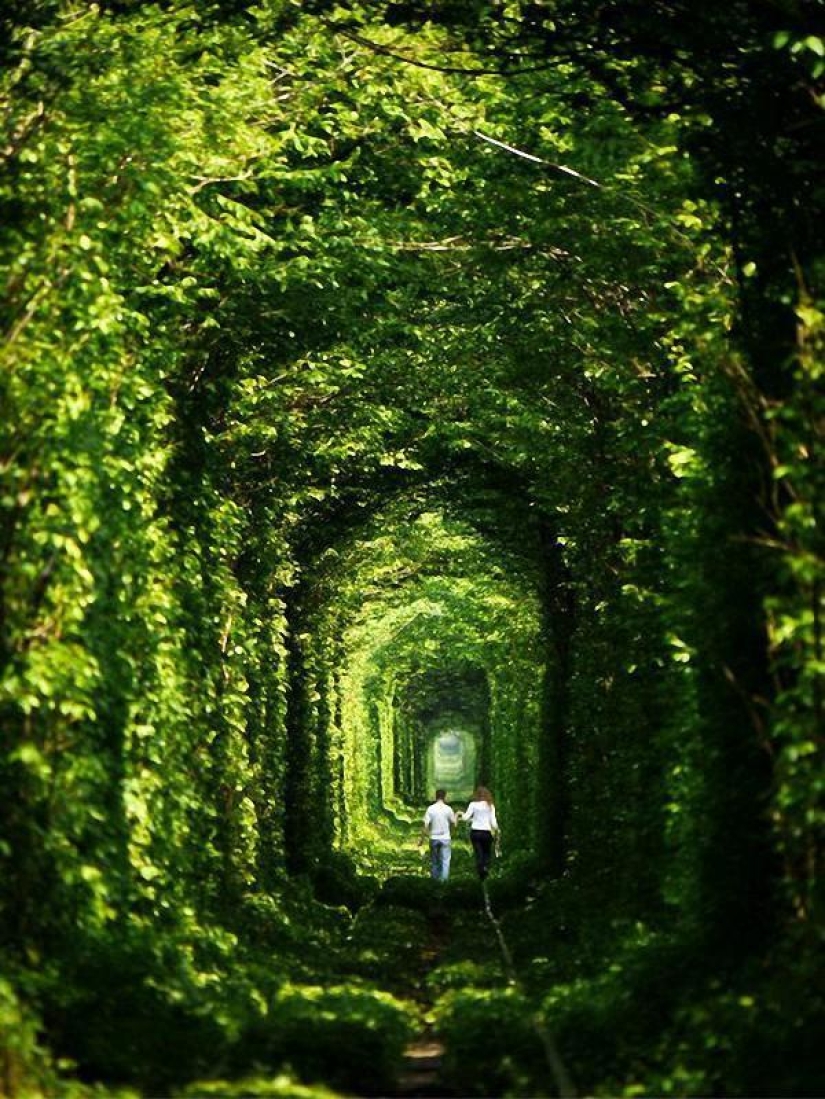 Los paisajes más surrealistas de nuestro planeta Los paisajes más surrealistas de nuestro planeta
