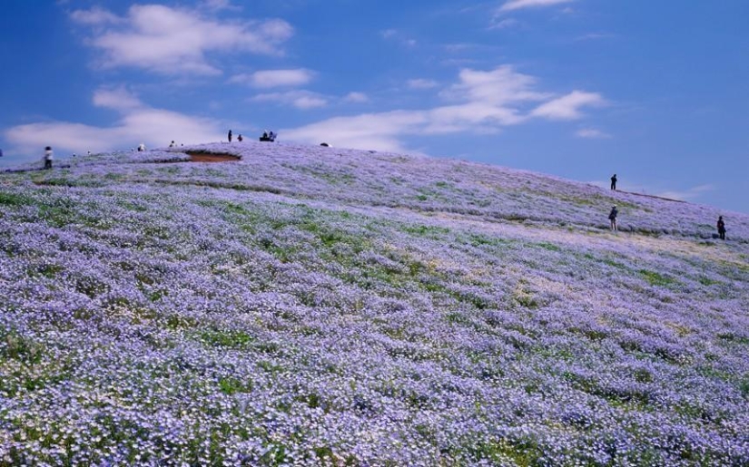 Los paisajes más surrealistas de nuestro planeta Los paisajes más surrealistas de nuestro planeta