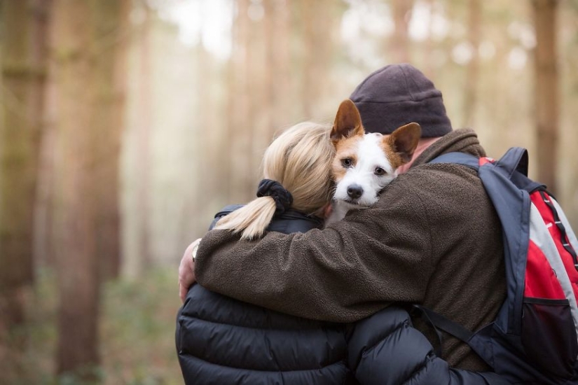 Los perros más fotogénicos: perros guía, empleados y solo amigos humanos