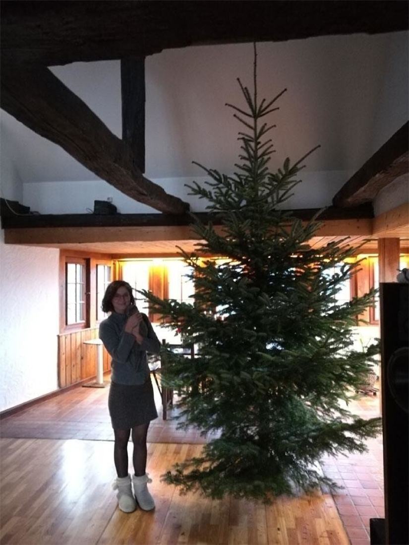 Los placeres y desafíos de la vida en un castillo medieval 1482 Los placeres y desafíos de la vida en un castillo medieval 1482