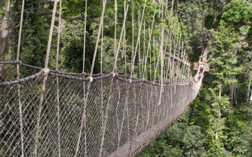 Los puentes más aterradores del mundo