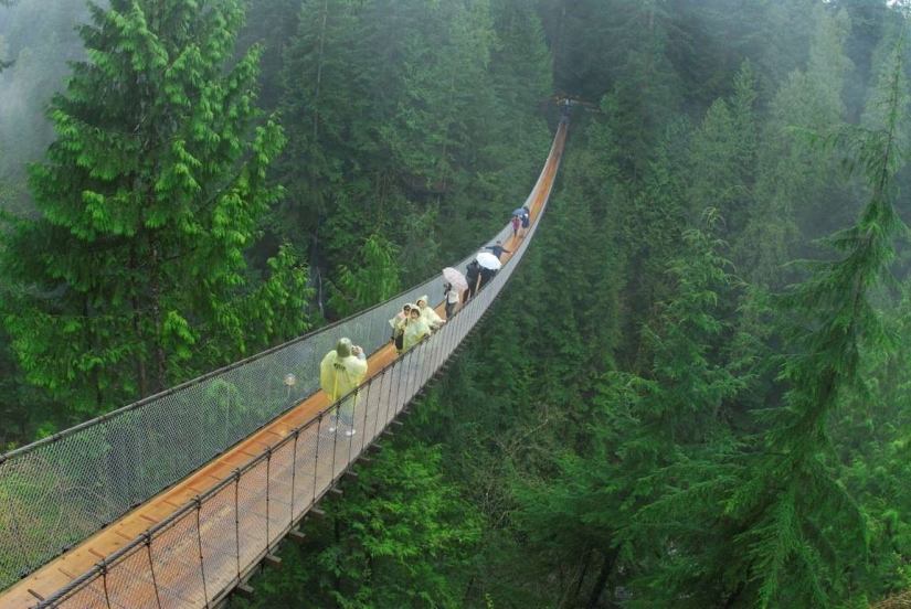 Los puentes peatonales más bellos del mundo Los puentes peatonales más bellos del mundo