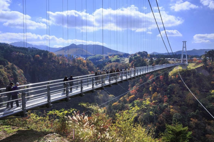 Los puentes peatonales más bellos del mundo Los puentes peatonales más bellos del mundo