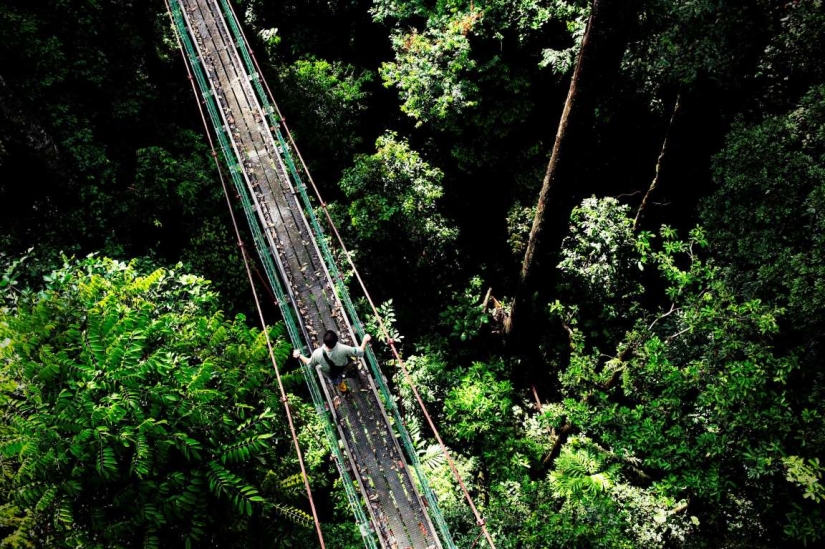 Los puentes peatonales más bellos del mundo Los puentes peatonales más bellos del mundo
