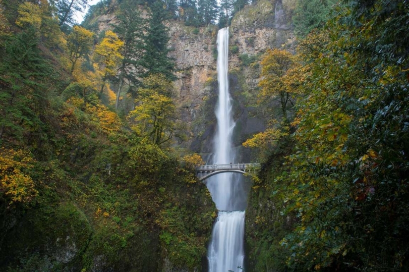 Los puentes peatonales más bellos del mundo Los puentes peatonales más bellos del mundo