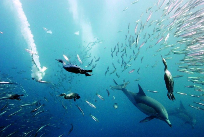 Los rincones más bellos del planeta