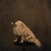 Lost in History: 8 Photos That Shed New Light on Our Past