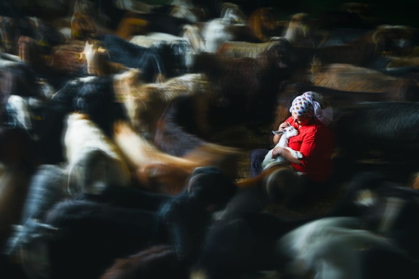 Love is in the air: the best photos from the Agora #Love2020 contest Love is in the air: the best photos from the Agora #Love2020 contest