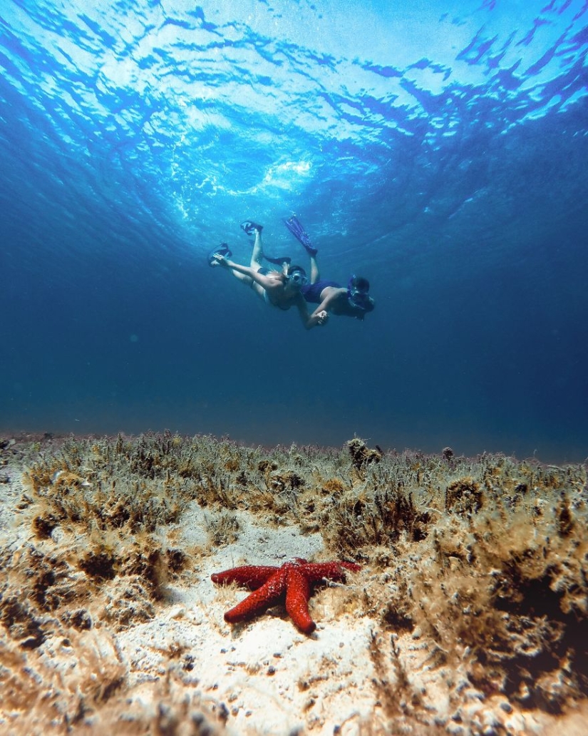 Love is in the air: the best photos from the Agora #Love2020 contest Love is in the air: the best photos from the Agora #Love2020 contest