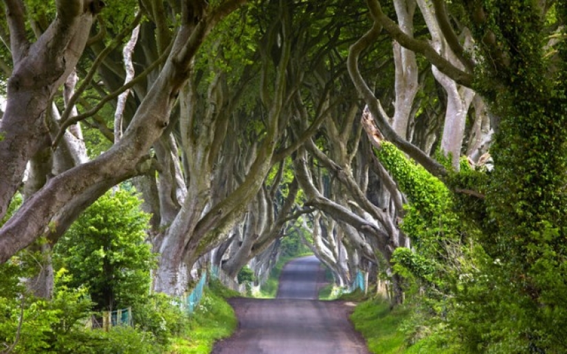 Lugares de series populares que puedes visitar