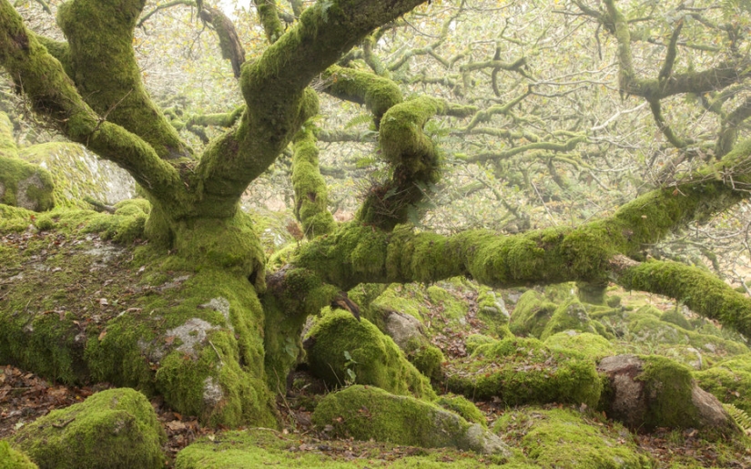 Lugares interesantes en Inglaterra Lugares interesantes en Inglaterra