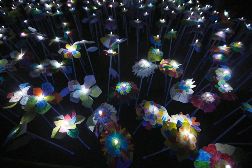 Lumina Light Festival 2014
