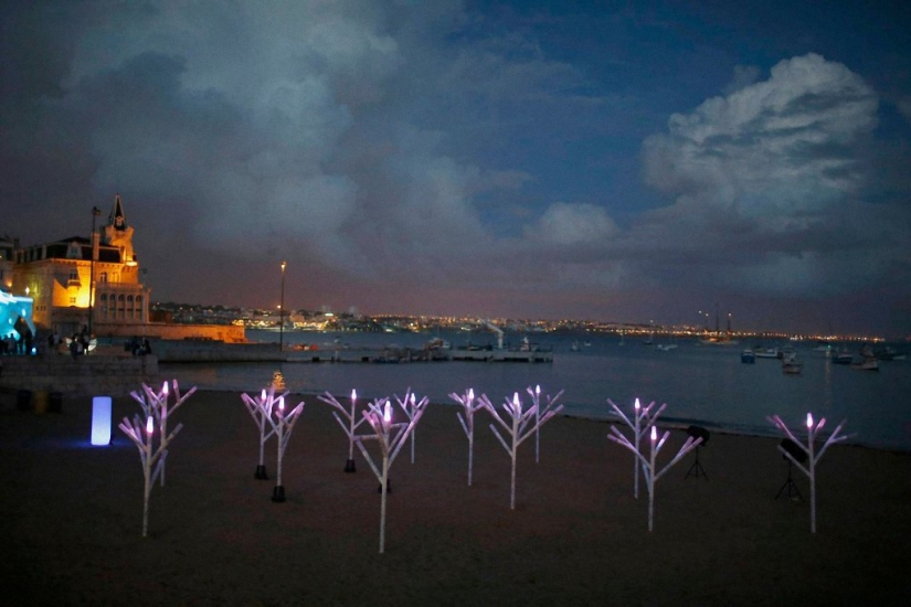 Lumina Light Festival 2014