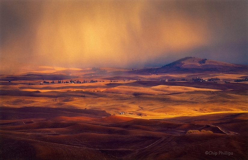 Magic Landscapes by Chip Phillips