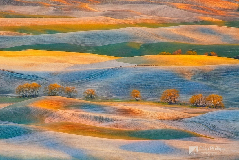 Magic Landscapes by Chip Phillips