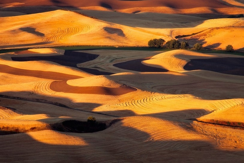 Magic Landscapes by Chip Phillips