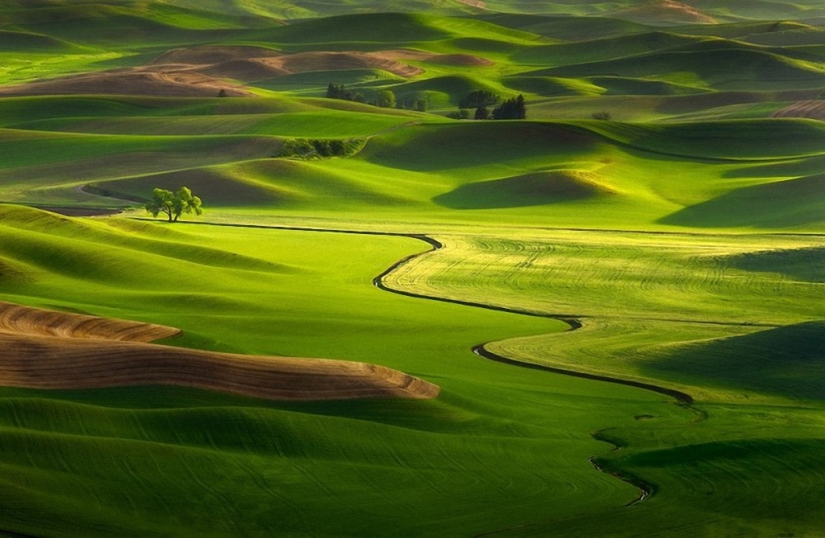 Magic Landscapes by Chip Phillips