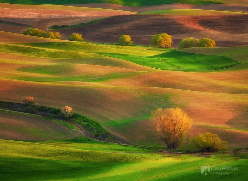 Magic Landscapes by Chip Phillips