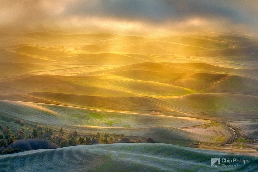 Magic Landscapes by Chip Phillips