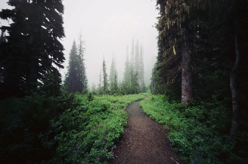 Magical paths leading straight into a fairy tale Magical paths leading straight into a fairy tale