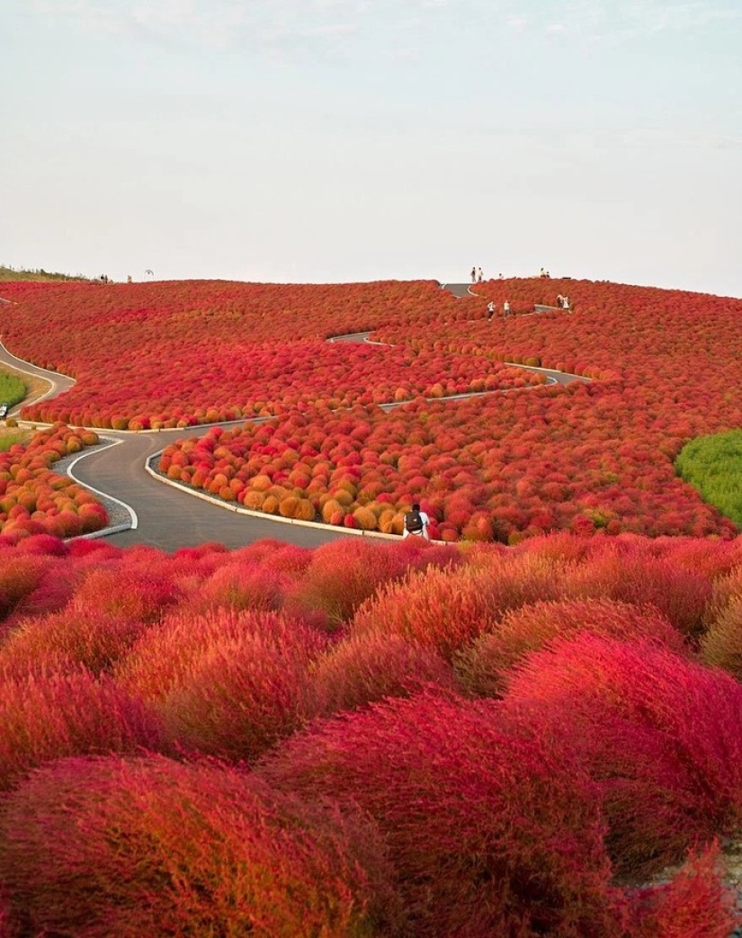 Magical paths leading straight into a fairy tale Magical paths leading straight into a fairy tale