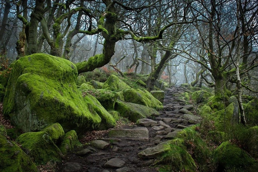 Magical paths leading straight into a fairy tale Magical paths leading straight into a fairy tale