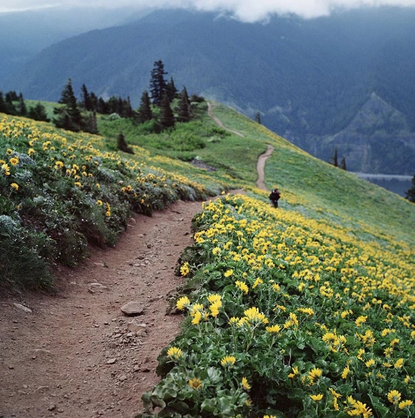 Magical paths leading straight into a fairy tale Magical paths leading straight into a fairy tale