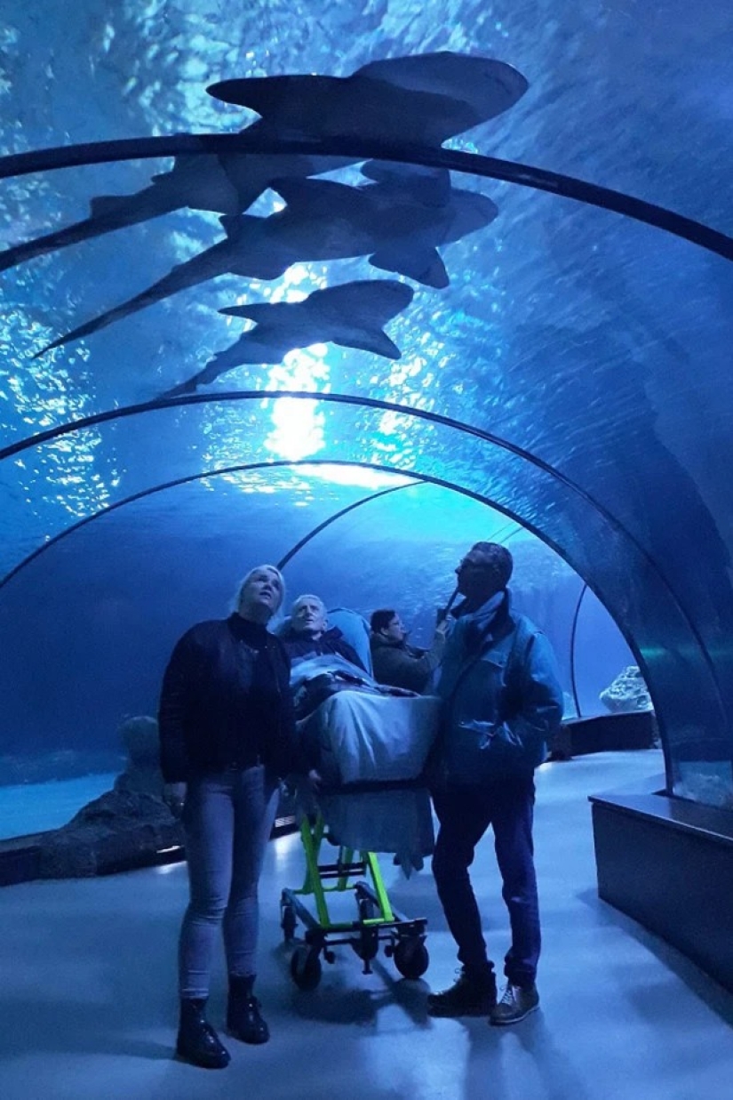 Magos amables: voluntarios holandeses cumplen los últimos deseos de enfermos terminales