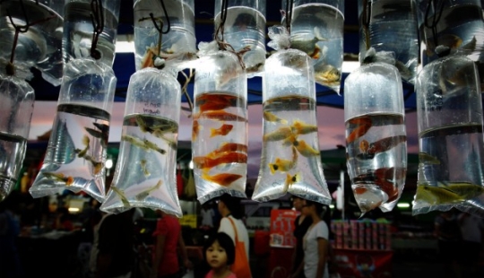 Malasia en imágenes