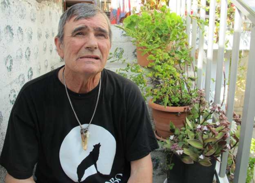 Man is a friend to the wolf: the Spaniard has lived with predators for 12 years and cannot get used to people for 50 years Man is a friend to the wolf: the Spaniard has lived with predators for 12 years and cannot get used to people for 50 years