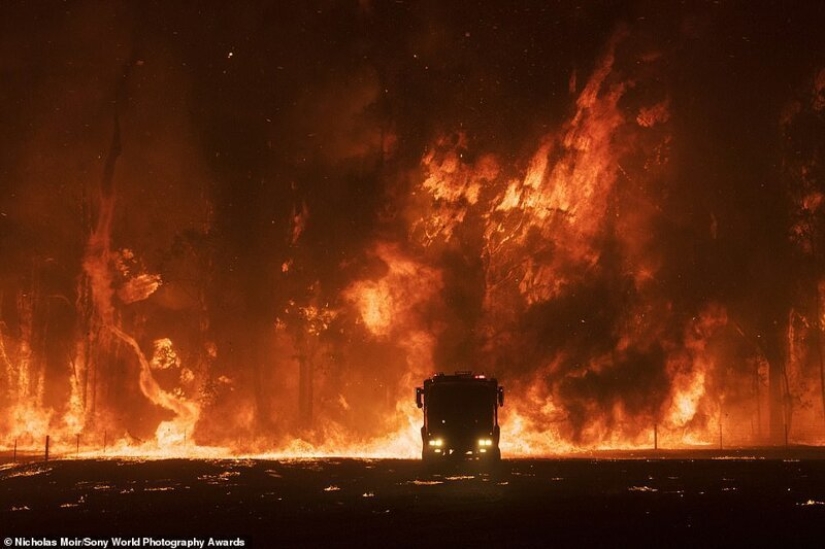 Manos de bazuca y otras imágenes de la lista de finalistas del Sony World Photography Award 2020 Manos de bazuca y otras imágenes de la lista de finalistas del Sony World Photography Award 2020