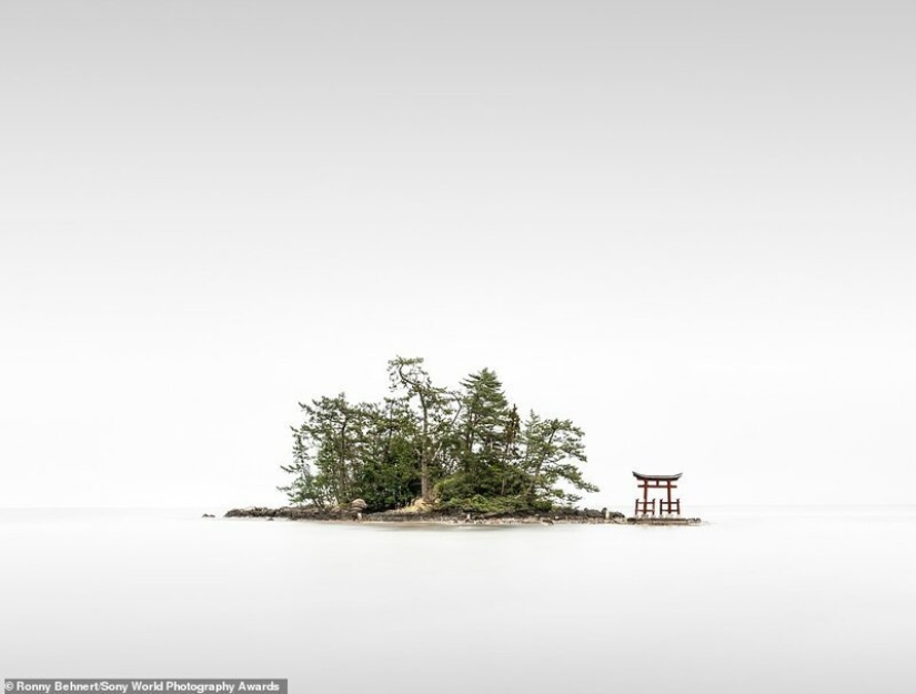 Manos de bazuca y otras imágenes de la lista de finalistas del Sony World Photography Award 2020 Manos de bazuca y otras imágenes de la lista de finalistas del Sony World Photography Award 2020