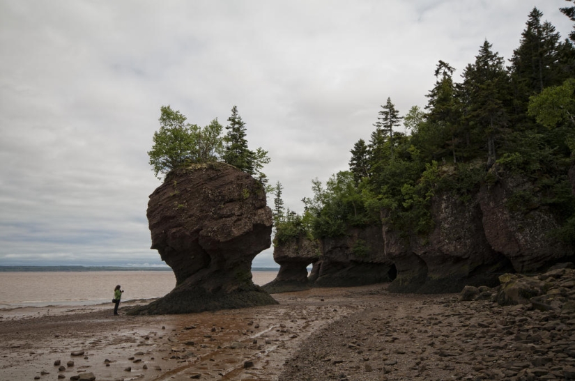 Maravilla natural-Rocas Hopewell en la Bahía de Fundy Maravilla natural-Rocas Hopewell en la Bahía de Fundy