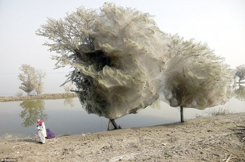 Maravillas de la naturaleza... ¡los fenómenos naturales más insólitos del mundo!